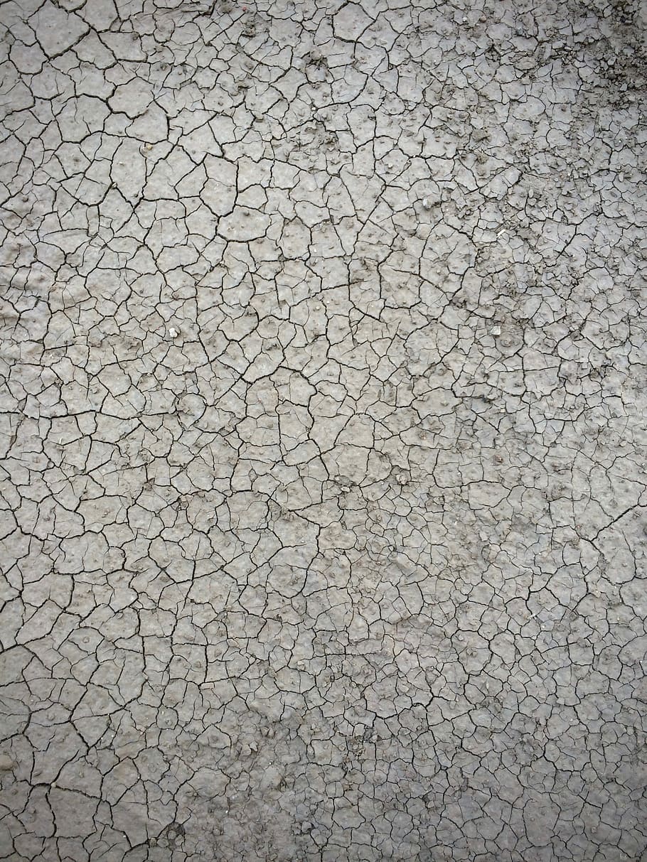 high angle photo of dried soil, cracked brown soil, texture, ground HD wallpaper
