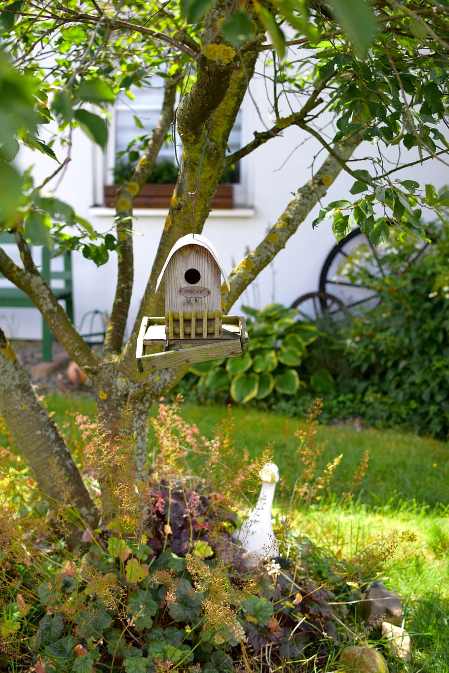 bird feeder, tree, feeding, einflugloch, nature, depend, house, HD wallpaper
