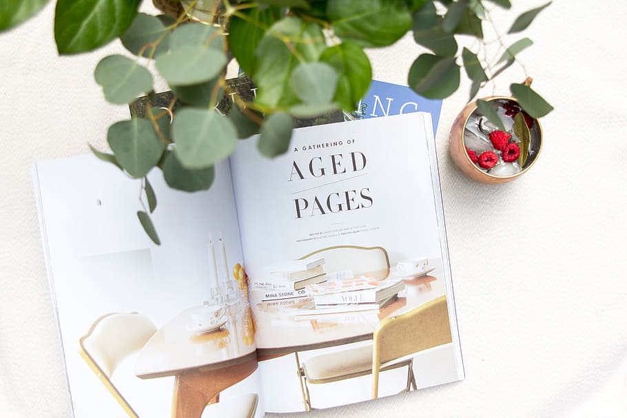 Aged Pages book page, green, plant, white, table, work, desk HD wallpaper