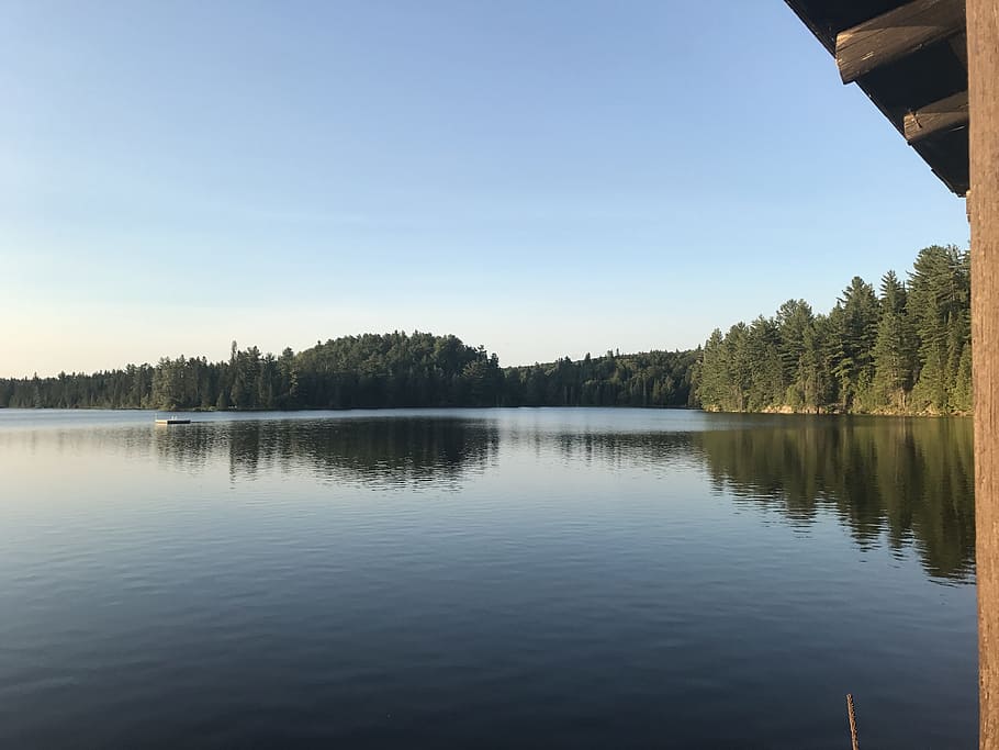 algonquin, lake, canada, water, tree, scenics - nature, tranquility HD wallpaper