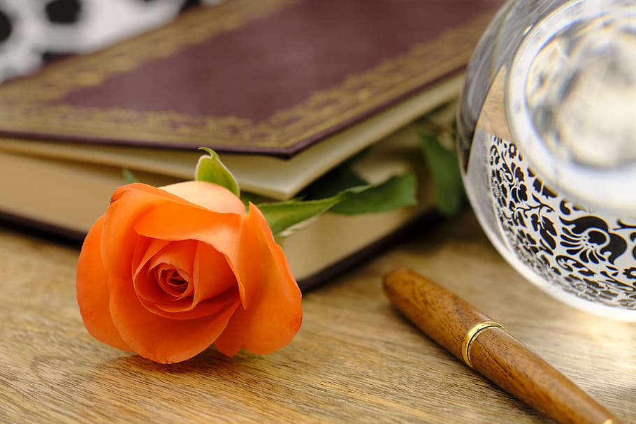 rose, flower, blossom, bloom, romantic, romance, bookmark, crystal ball HD wallpaper