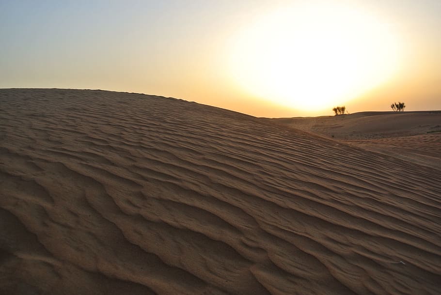 Desert, Sunset, Camels, Landscape, Sand, sunlight, lighting HD wallpaper