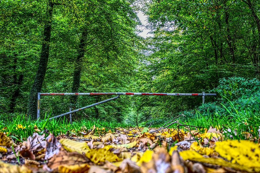 barrier, shut off, blocking, to, closed, forest, forest path HD wallpaper