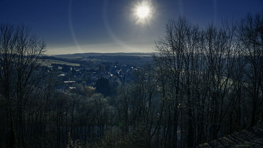 cold, clear, november, ore mountains, tranquility, nature, beauty in nature HD wallpaper
