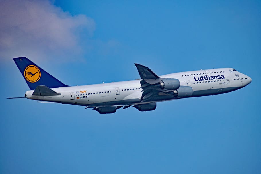 Lufthansa, Aircraft, Germany, Airport, rhine-main, start, take off