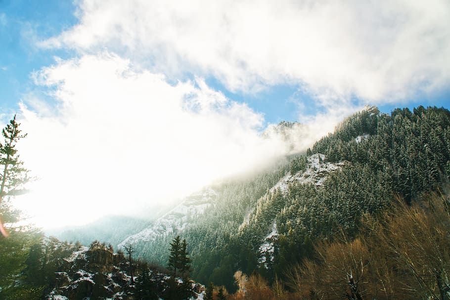 green trees on the mountain photography, snowy mountain with forest during daytiem HD wallpaper