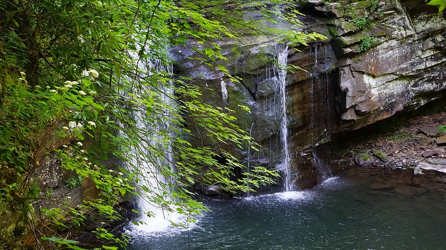Waterfall, Cascade, Nature, landscape, river, wild, flowing HD wallpaper