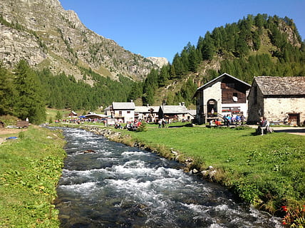 mountain, stream, feast, torrent, landscape, meadows, grass HD wallpaper