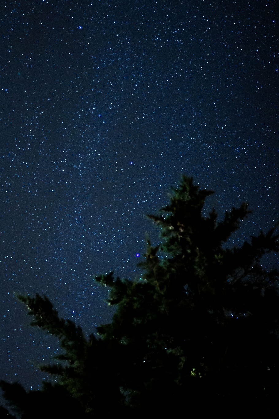 star, estrellano sky, night, tree, landscape, night sky, darkness HD wallpaper