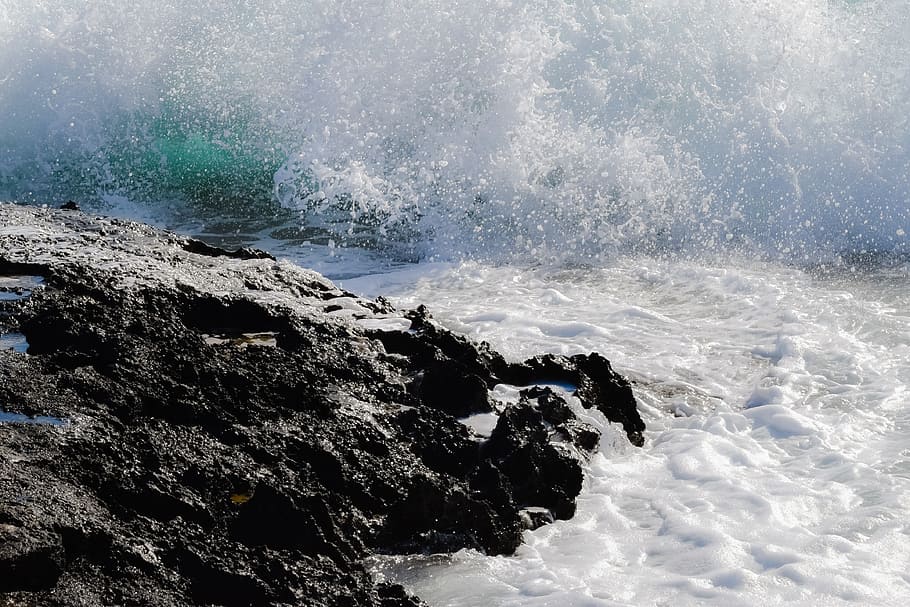 splash, wave, water, drop, liquid, nature, motion, splashing HD wallpaper