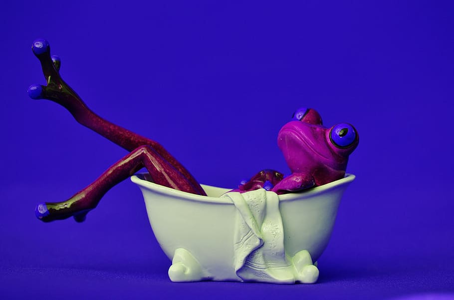 frog, bath, swim, relaxation, funny, body care, figure, cute HD wallpaper
