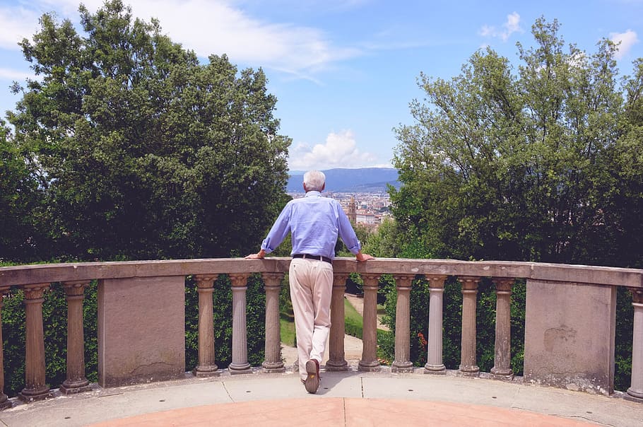 boboli garden, view, man, spin, nature, florence, italy, tree HD wallpaper