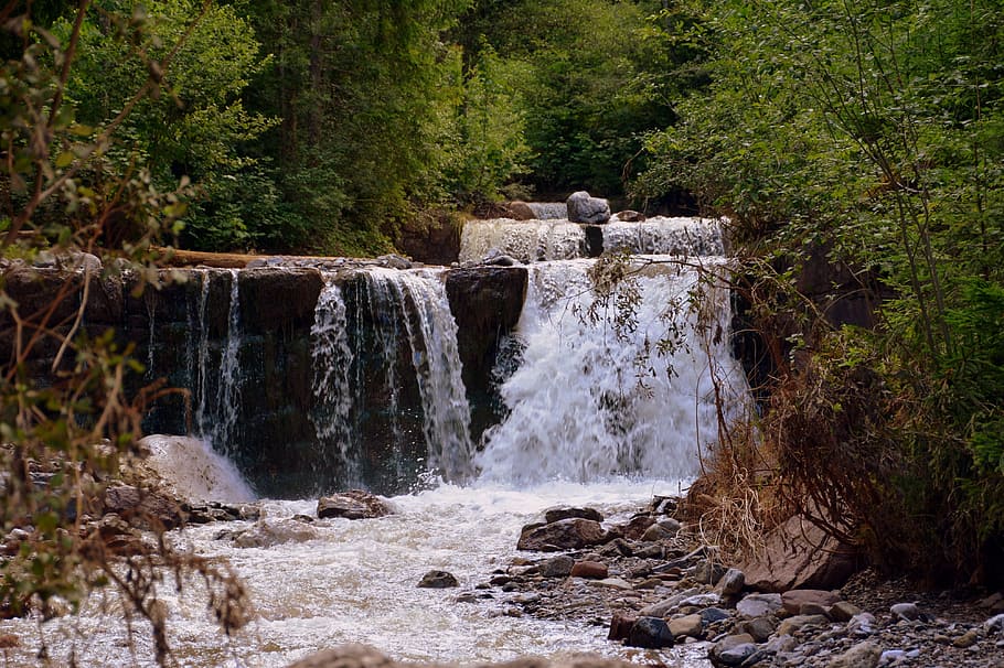 waterfall, forest, nature, mountain, torrent, tree, plant, rock HD wallpaper