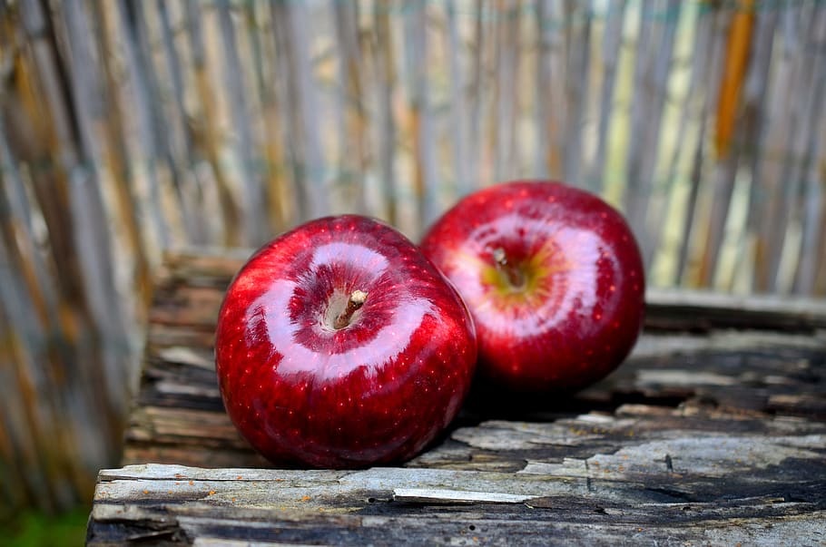 closeup photo of two red apples, fruit, vitamins, healthy, ripe HD wallpaper