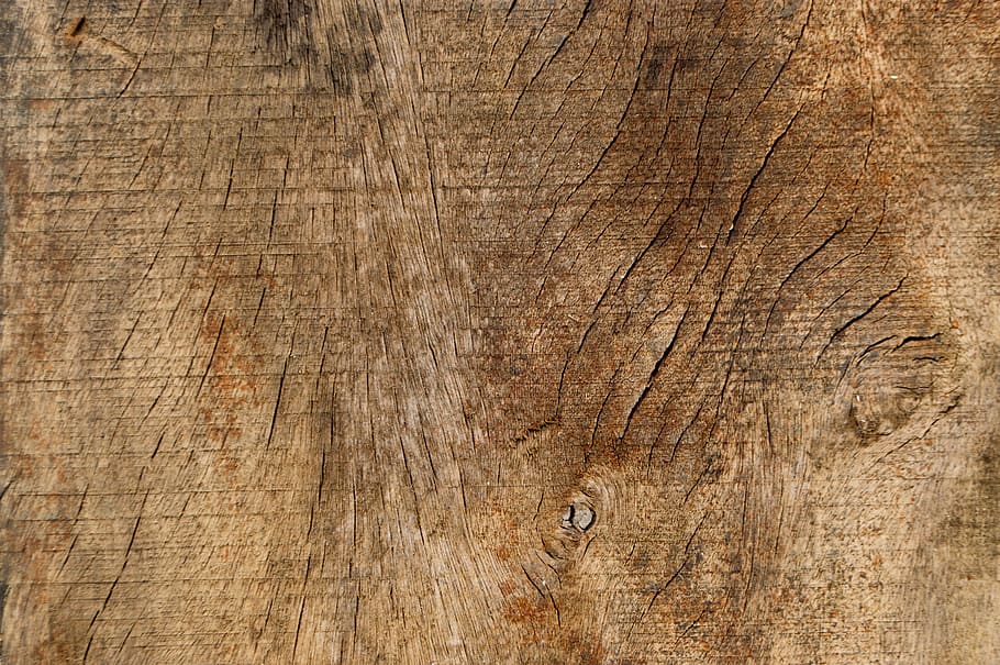 wood, texture, background, wood - material, textured, backgrounds HD wallpaper