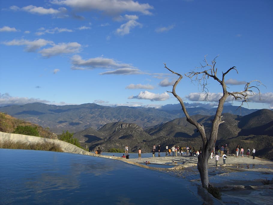 Mexico, Oaxaca, Hiervé El Agua, Tree, source, natural pool, HD wallpaper