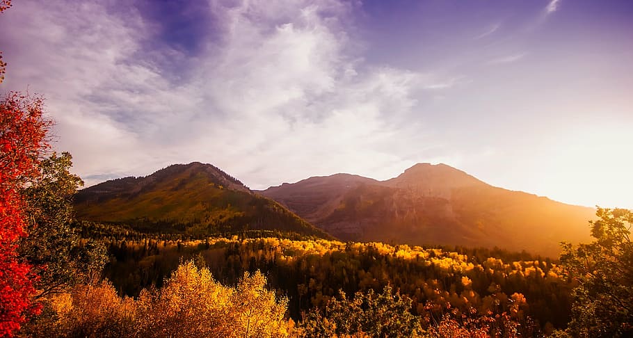 landscape of mountain under blue sky, utah, panorama, autumn HD wallpaper