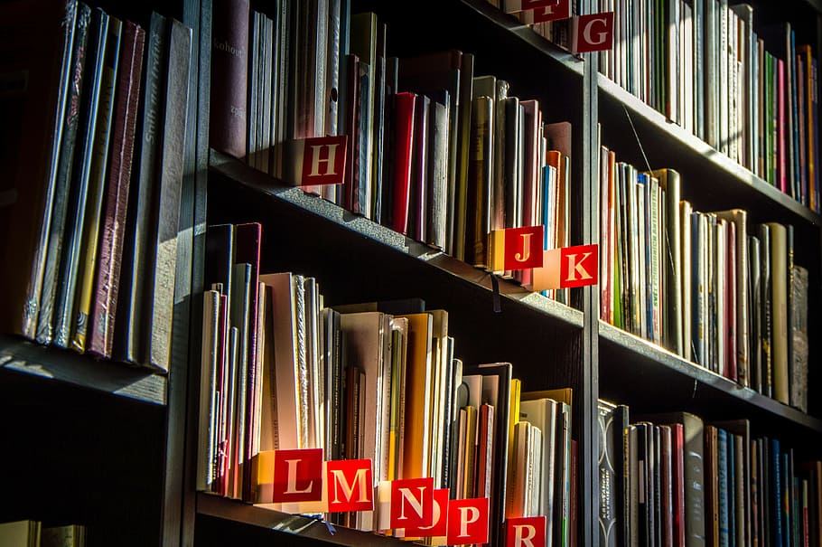 assorted book lot, books, library, bookstore, read, sale books HD wallpaper