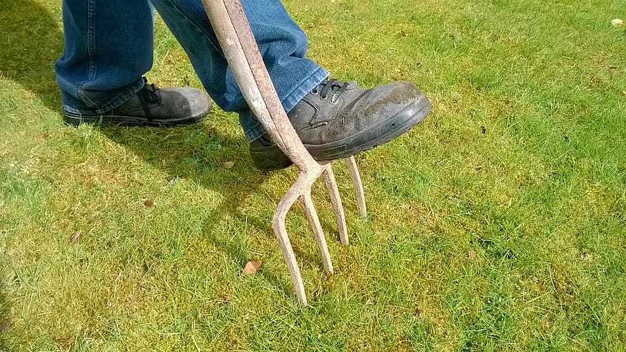photo of person stepping on lawn rake, garden, fork, lawn maintenance