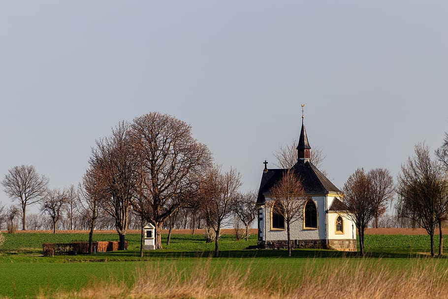 tree, grass, sky, eifel, germany, chapel, landscape, architecture HD wallpaper