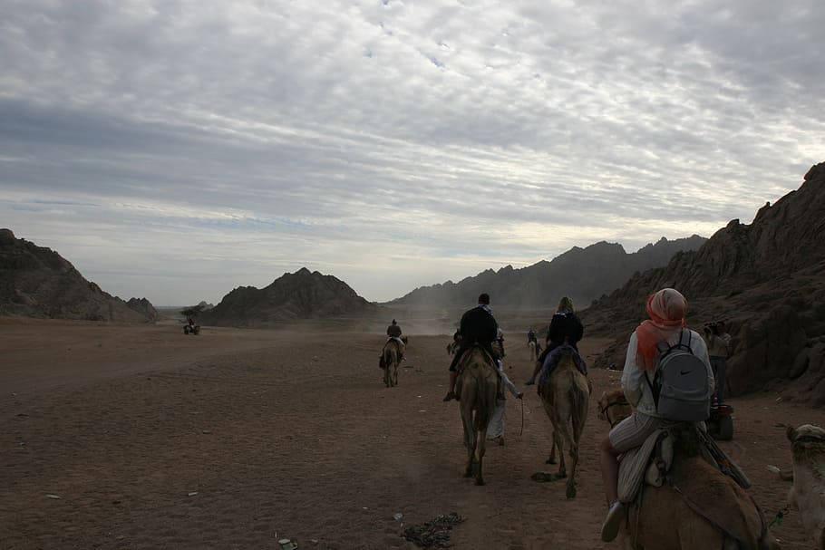 riding, camel, egypt, adventure, desert, africa, sky, group of people HD wallpaper