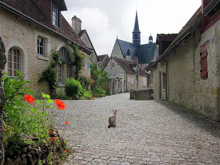 Montrésor, Village, Loire, France, Old, french, cobblestone