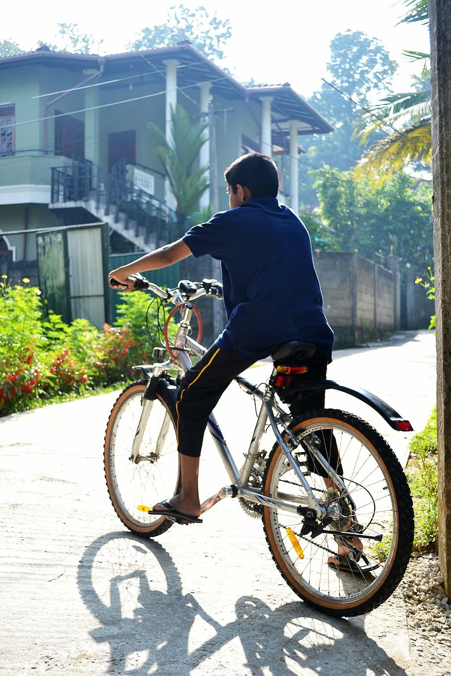bicycle, boy, morning, back light, road, sport, mountain bike HD wallpaper