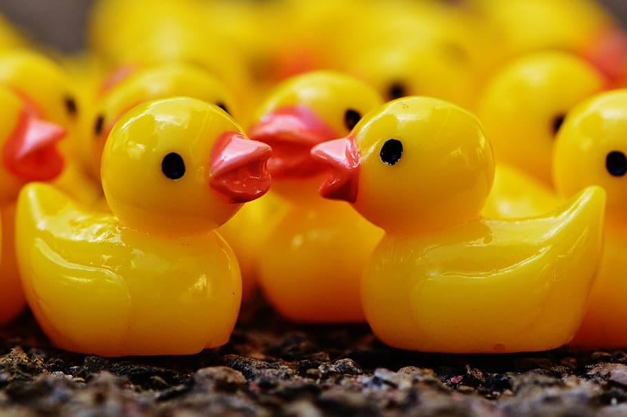 HD wallpaper: ducks, figures, group, cute, sweet, many, rubber duck ...