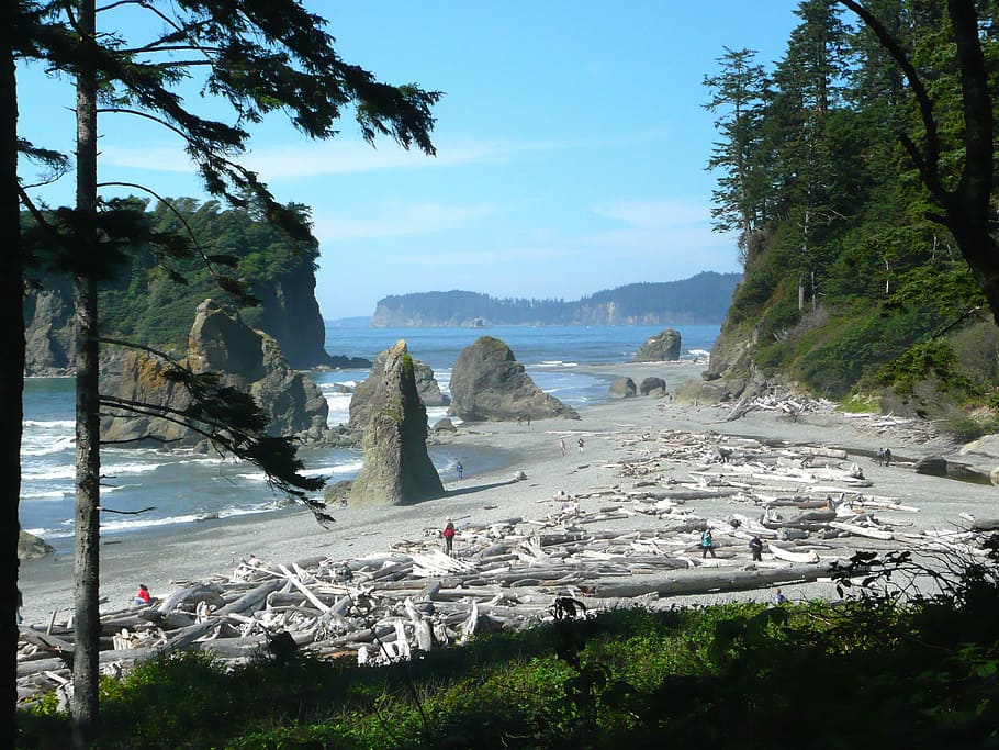Ruby, Beach, Beach, Washington, Usa, Landscape, shoreline, pacific