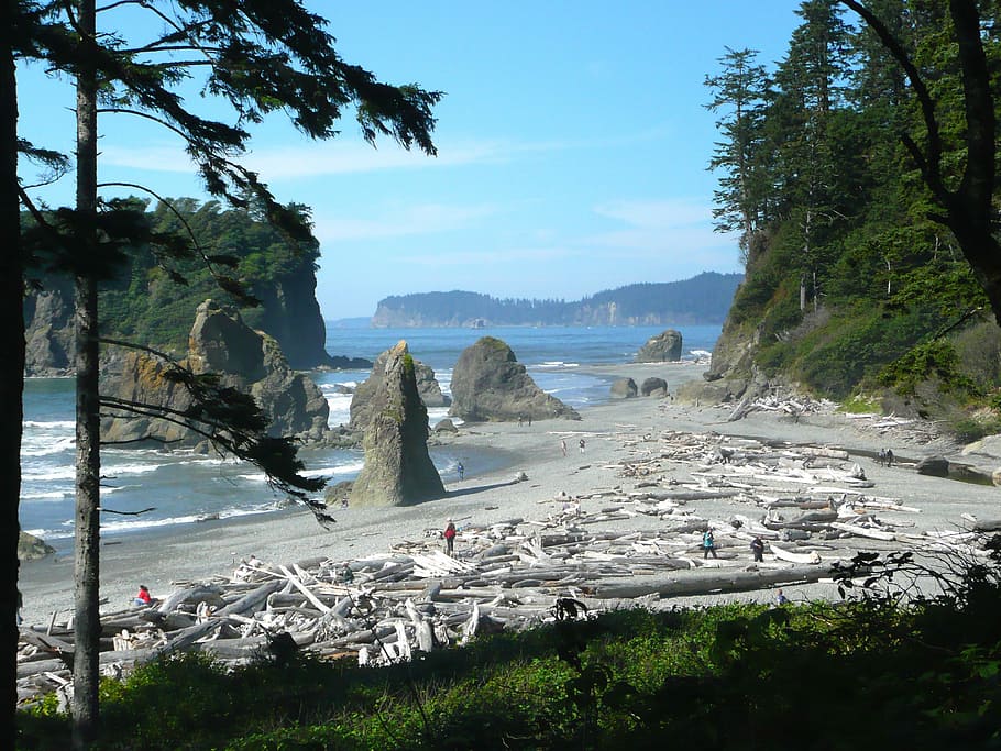 Ruby, Beach, Beach, Washington, Usa, Landscape, shoreline, pacific HD wallpaper