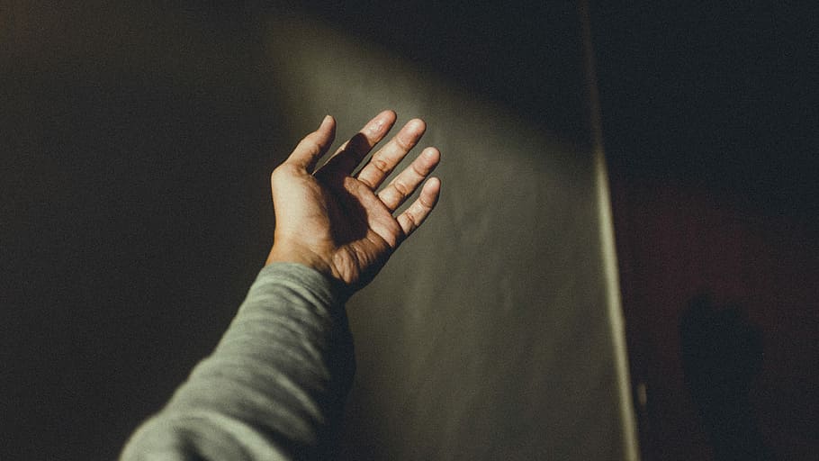 person taking photo of his left hand, person wearing gray shirt raising right hand HD wallpaper