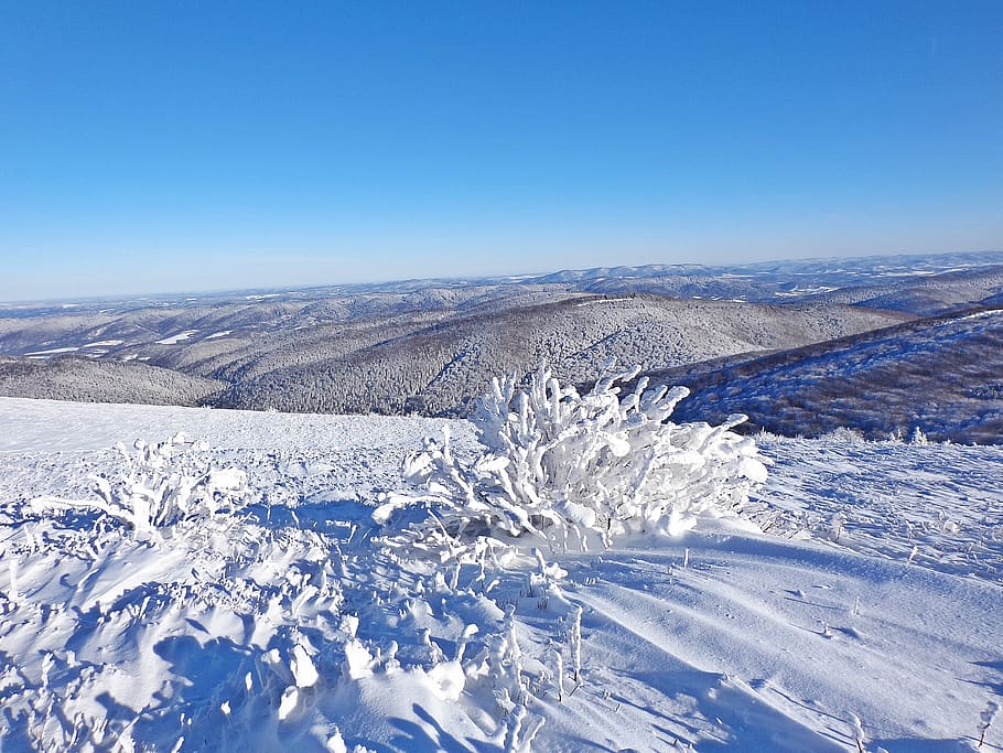 Winter, Forest, Snow, Frost, Landscape, tourism, panorama, bieszczady, HD wallpaper