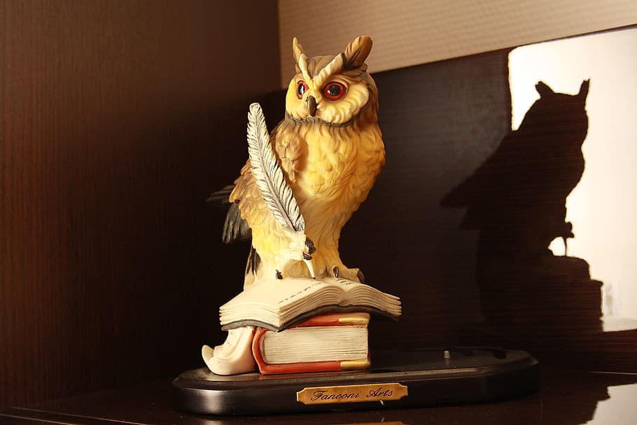 Wisdom, Owl, Figurine, animal, pets, animals And Pets, statue