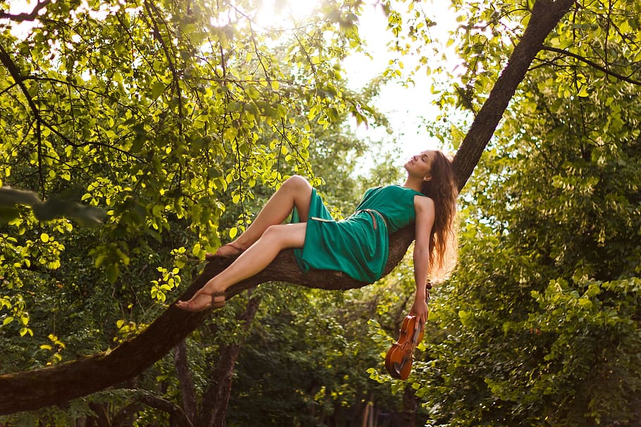 Hd Wallpaper Girl Sitting On Tree Branch During Daytime Woman Sitting On Tree Wallpaper Flare 