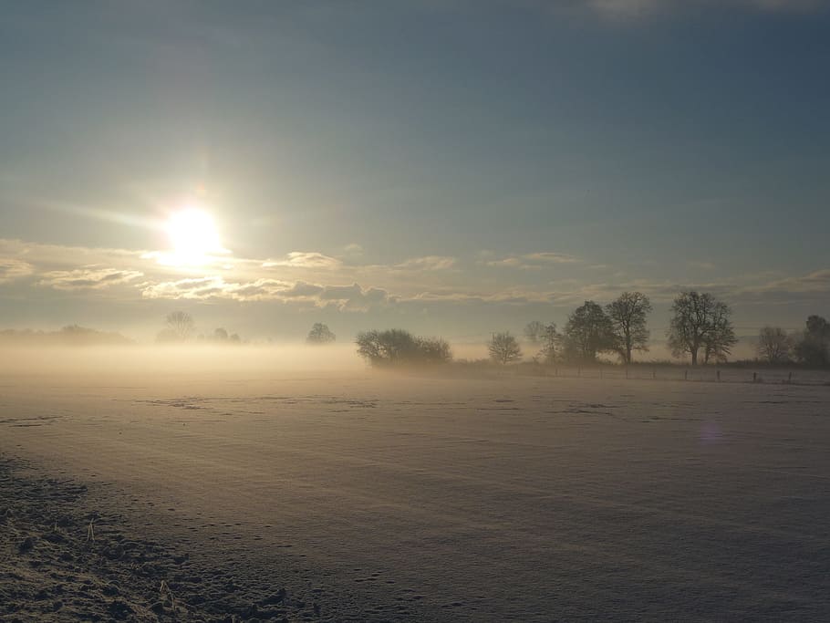 Winter, Sun, Wintry, Snow, tranquility, nature, sky, scenics HD wallpaper
