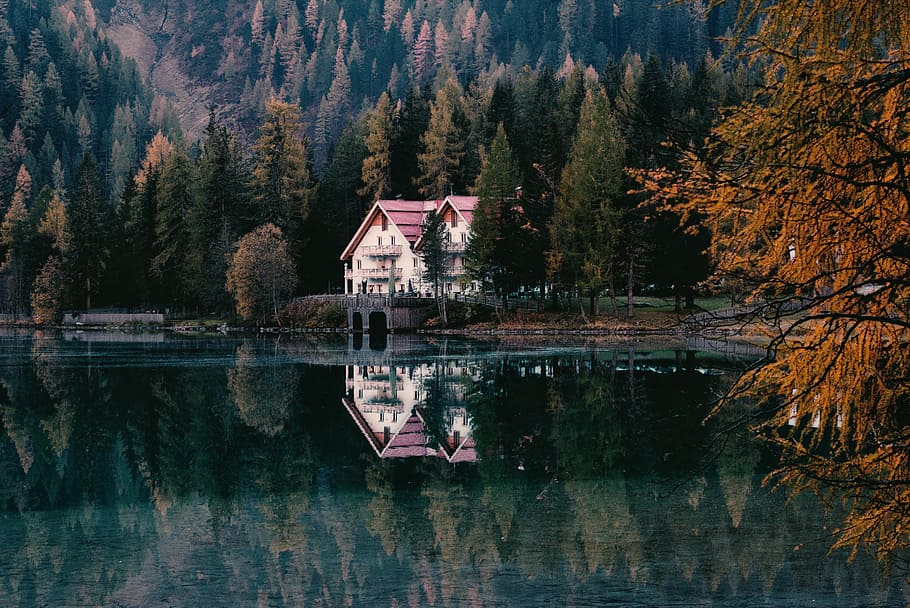 landscape photo of white and red house near lake, cabin near trees and body of water HD wallpaper