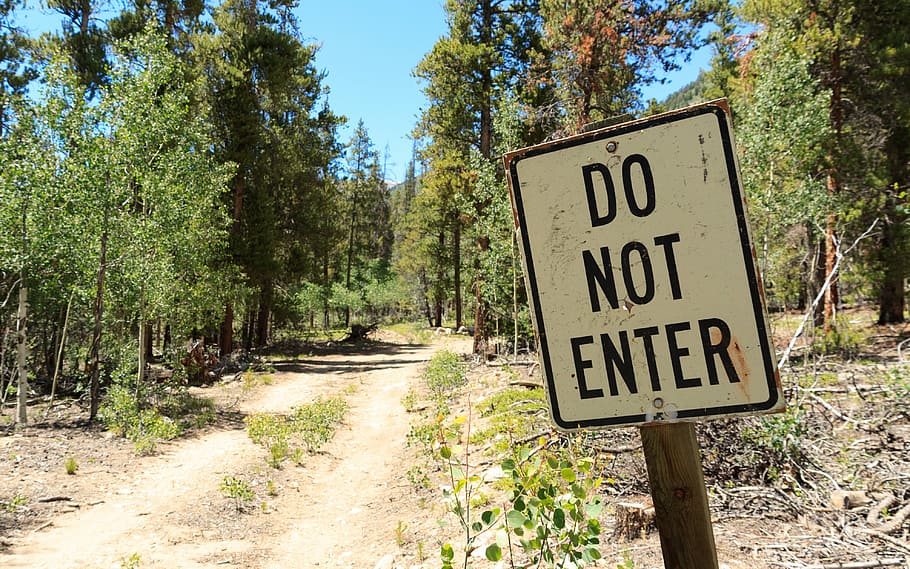 divorced, forest, access forbidden, natural, communication HD wallpaper
