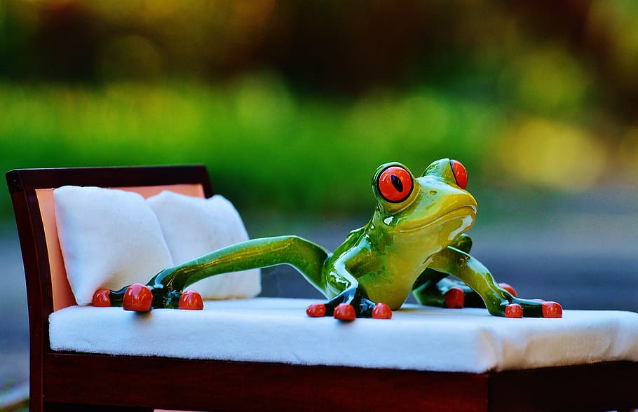frog, bed, figure, funny, cute, love, concerns, couch, valentine's day HD wallpaper