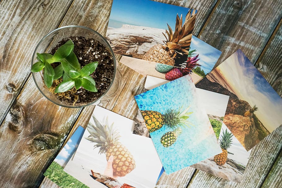 top view of photos with pineapple on brown wooden surface, green leafed plant in clear glass container HD wallpaper