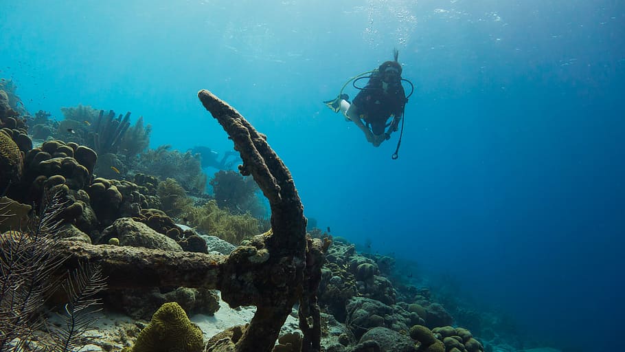 scuba diver swimming underwater, person taking photo of person underwater dive HD wallpaper