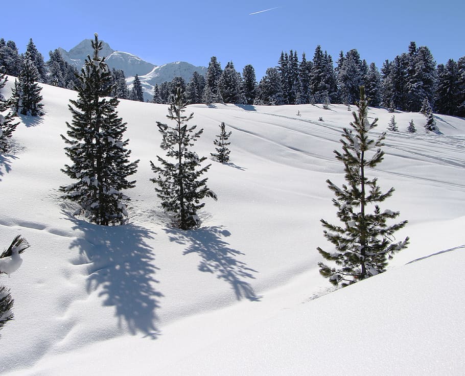snow, mountains, alpine, trees, austria, wintry, winter, landscape HD wallpaper