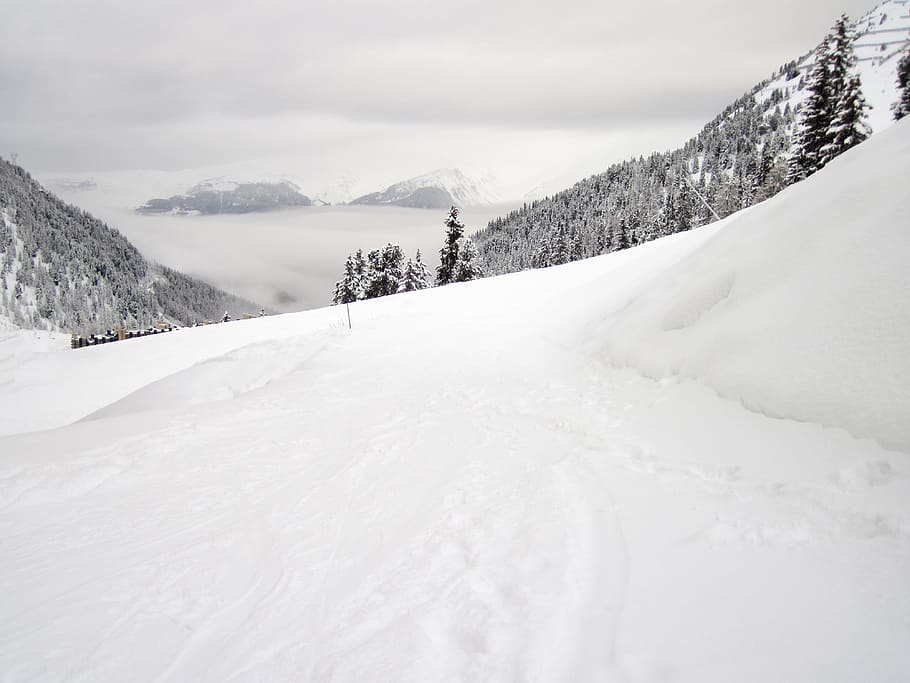 grayscale photo of snow ground near mountains, Alps, Cold, Ice HD wallpaper