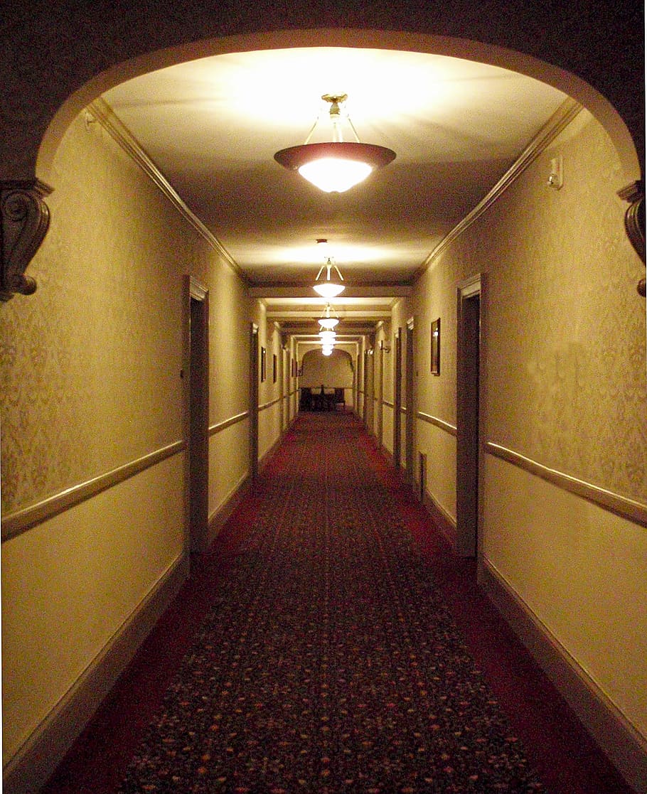 red hallway runner near door, corridor, path, tunnel, light HD wallpaper