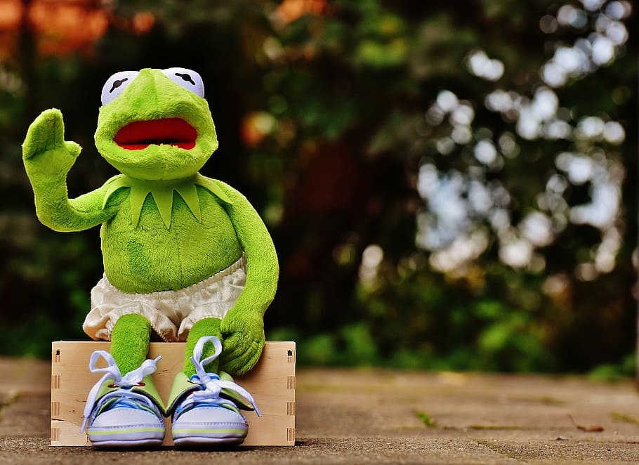 Page 3 Kermit The Frog 1080p 2k 4k 5k Hd Wallpapers Free Download Wallpaper Flare
