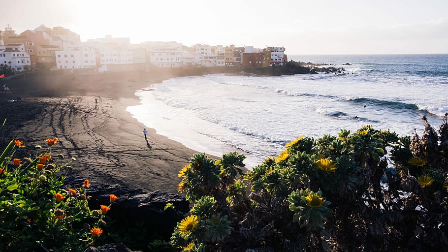 sea near concrete buildings and flowers at daytime, ocean, wave HD wallpaper