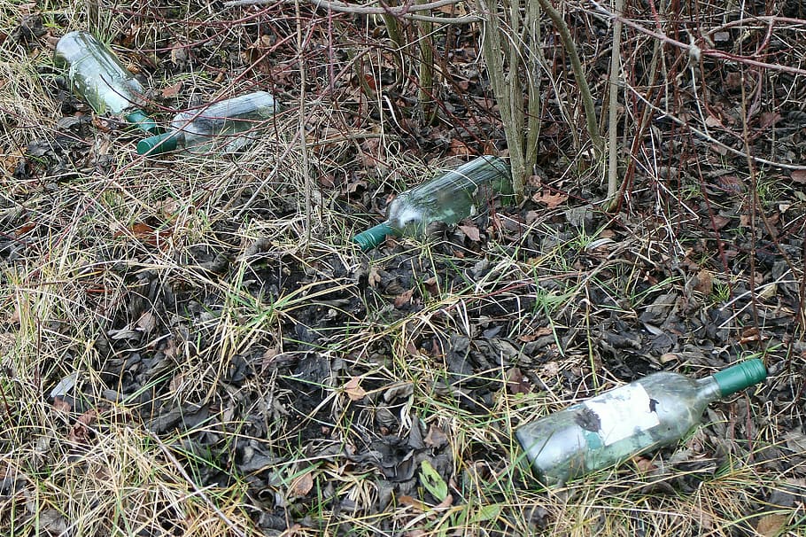 Bottle, Bottles, Glass, Garbage, throw away society, on the side of the road HD wallpaper