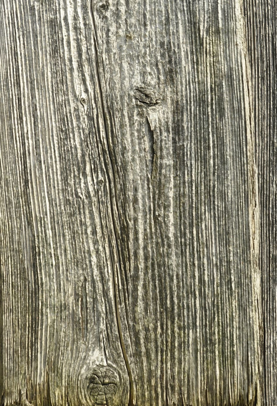 wood, structure, grain, tree, texture, background, tree bark, HD wallpaper
