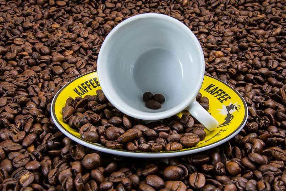 white ceramic mug on coffee nut lot, coffee cup, coffee beans HD wallpaper