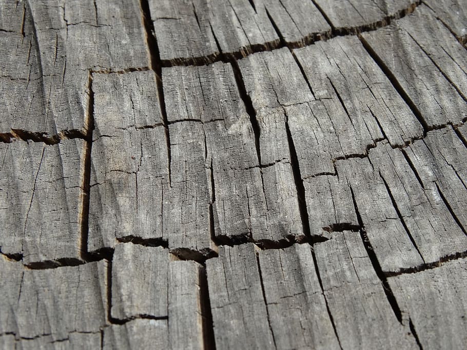 Wood, Texture, Nature, wood - material, backgrounds, textured HD wallpaper