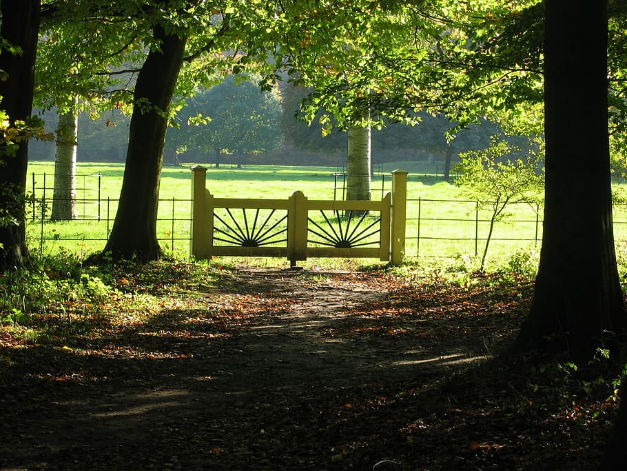 Pasture, Rustic, Fence, Forest, Sun, Sun Rays, landscape, environment HD wallpaper